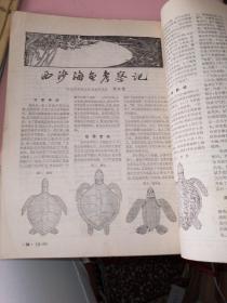 科学实验1976年第1－9期共9本合售 自己装订