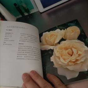 花木园艺修剪