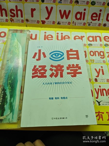 小白经济学（一本有趣的经济学常识，零基础入门一看就懂，冯仑推荐）