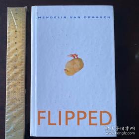 Flipped a novel 英文原版