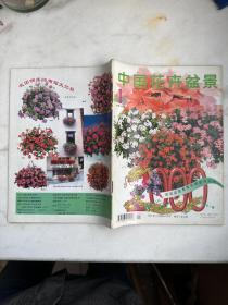 中国花卉盆景2000年1~7，12期共8期合售