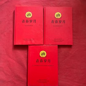 青春岁月：1北大荒知青纪念章2北大荒知青纪念封、纪念邮票、纪念明信片3北大荒知青纪念衫(三本合售)