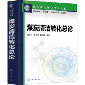 煤炭清洁转化总论 9787122421067 谢克昌,王永刚,田亚峻 化学工业出版社