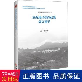 滇西地区扶持政策效应研究