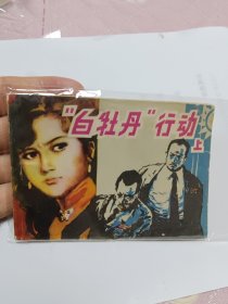 “白牡丹”行動(dòng)上冊(cè)