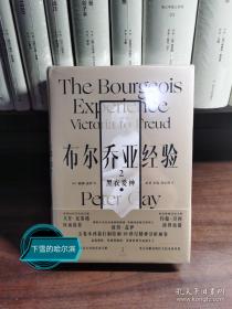 布尔乔亚经验2：黑衣爱神（彼得·盖伊文化史巨著首度中译，精装两册)