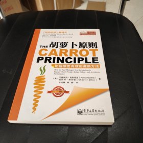 胡萝卜原则：比薪酬更有效的激励方法（最新修订版）