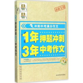 1年冲刺 3年中考作文