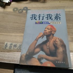 我行我素 NBA蓝板王罗德曼自传