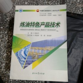 大型乙烯成套技术/中国石油炼油化工技术丛书