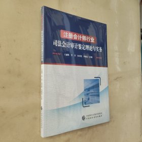 注册师行业审计鉴定理论与实务 会计 王丽梅，李芳，冉祥俊，李晓霞 新华正版