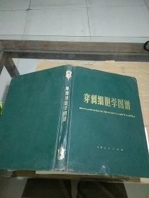 穿刺细胞学图谱