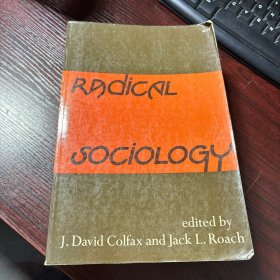 Radical sociology 激进社会学
