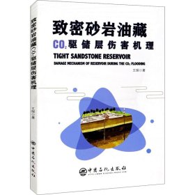 致密砂岩油藏CO2驱储层伤害机理【正版新书】