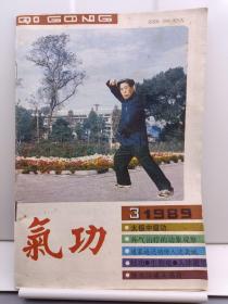 气功  杂志  1989年第3期