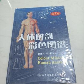 人体解剖彩色图谱