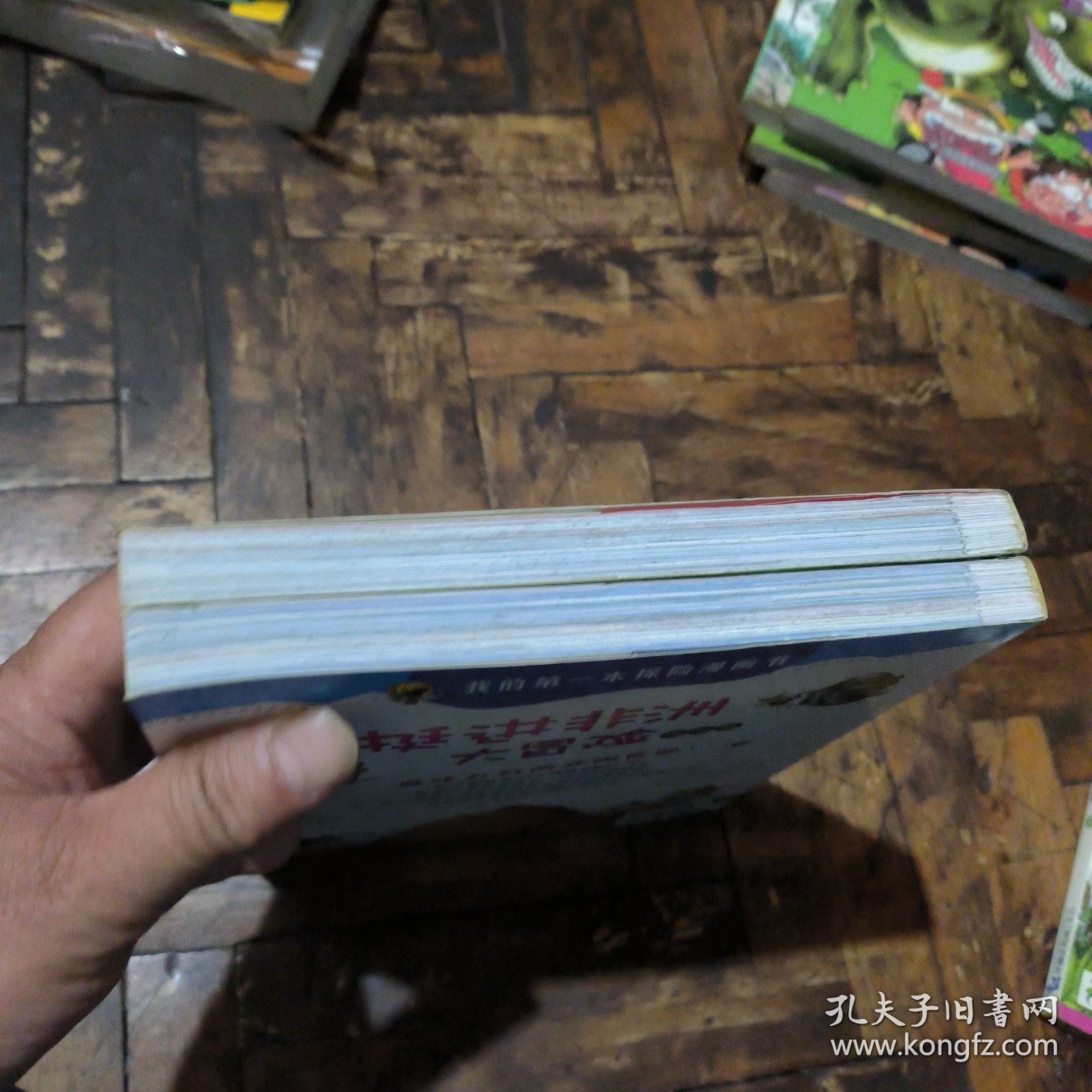 点击查看原图 挺进非洲大冒险;北部篇、南部篇(两本合售)
