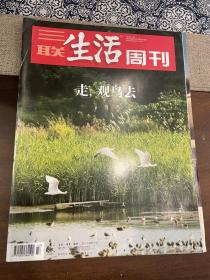 三联生活周刊（2019年第47期）走 观鸟去