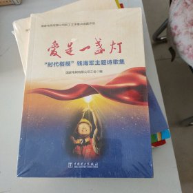 爱是一盏灯“时代楷模”钱海军主题诗歌集