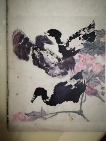 彩版美术插页（单张）石鲁国画《芙蓉春暖鸭群欢》，王个簃国画四幅《对虾》《勤俭持家》《买菜归来》