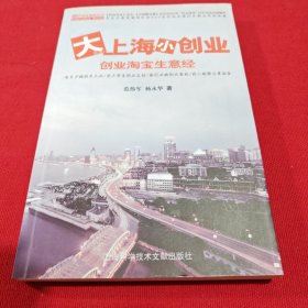 大上海小创业：创业淘宝生意经