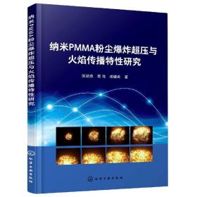 纳米PMMA粉尘爆炸超压与火焰传播特性研究