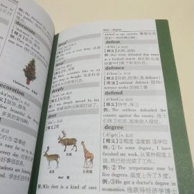 小学生英汉词典（彩图版）