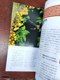 中国国家地理2020年第03期
