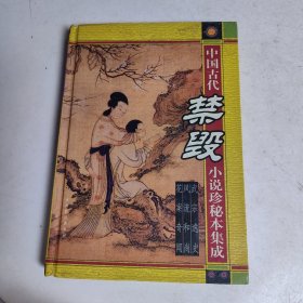 中国古代禁毁小说珍秘本集成