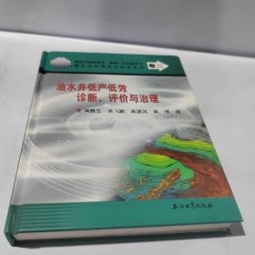 油水井低产低效诊断、评价与治理