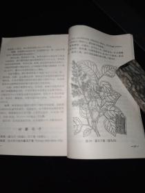 火红的年代《防治感冒及气管炎中草药手册》