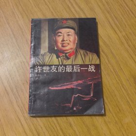 许世友的最后一战