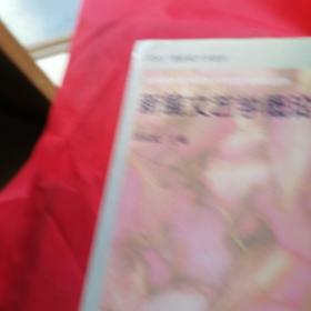新編文藝學(xué)概論