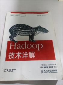 Hadoop技术详解/“十二五”国家重点图书出版规划项目