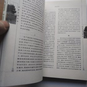 甘肃史话丛书：成县史话