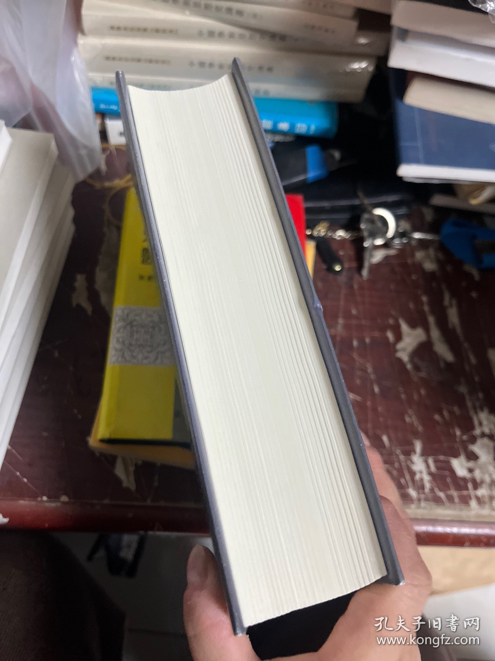 企鹅欧洲史7竞逐权力：1815—1914