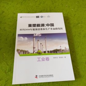 重塑能源；中国 面向2050年能源消费和生产革命路线图 工业卷