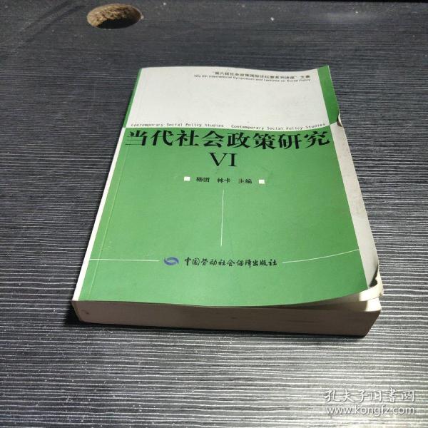 第6届社会政策国际论坛文集：当代社会政策研究6