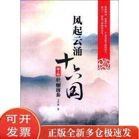 风起云涌十六国（第2部壮丽前秦）