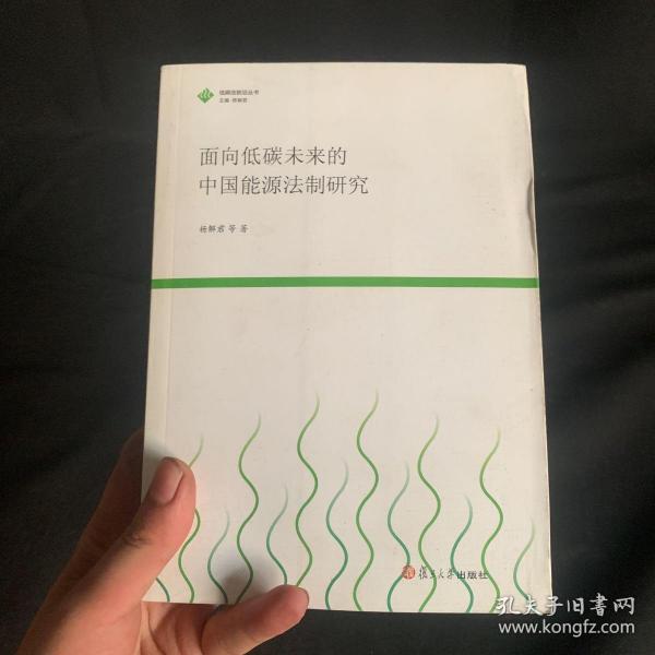 低碳法制前沿研究丛书：面向低碳未来的中国能源法制研究