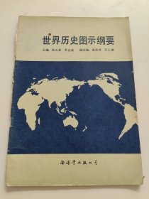 世界历史图示纲要 图片实拍，书脊破损，封面快脱落了。