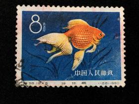 信销票：特38 金鱼（12-5）珍珠鱼