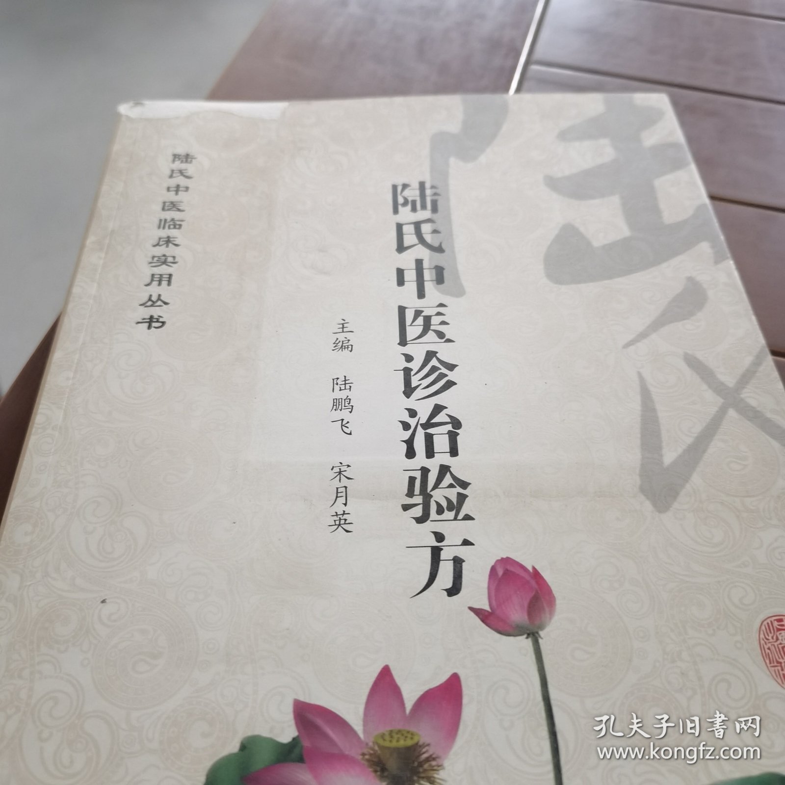 陆氏中医临床实用丛书：陆氏中医诊治验方