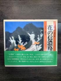 花の信浓路 (カラー版 自然の诗 ふるさと歳时记) 日文原版有腰封 花卉风景全铜版纸全图