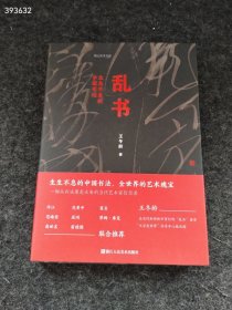 新书到货 乱书：生生不息的中国书法 湖山艺术文库 王冬龄 著 中国书法能真正影响世界吗 现代书法 书法理论 2023年出版 售价70元狗院