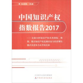 中国知识产权指数报告.2017