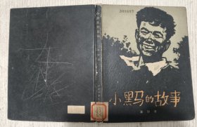小黑马的故事