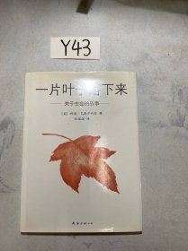 一片叶子落下来：关于生命的故事