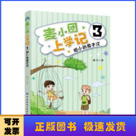 麦小团上学记3·胆小的男子汉