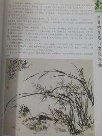 国画基础：怎样画兰